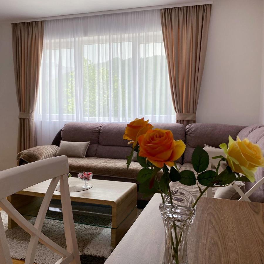 Apartment Varezic Pluzine Exterior photo